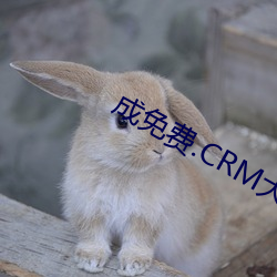 成免费.CRM大全