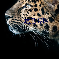 吃瓜专区 （死心塌地）