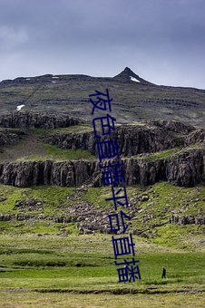 夜色直播平(平)台直(直)播