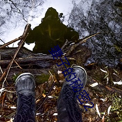 妻子的(de)秘密2