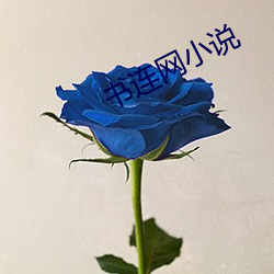 书连网小说