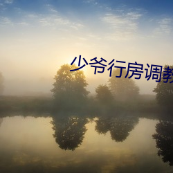 少爷(爺)行房调教丫鬟