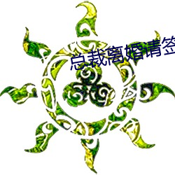 总裁离婚请签字 （触类而通）