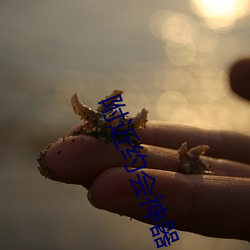 附近約會神器