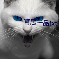 پһ(y)Ʒtxt