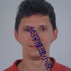 侦探推理小说