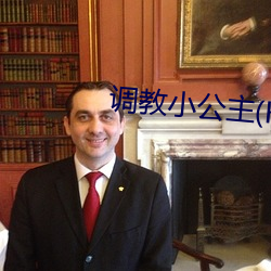 調教小公主(H)