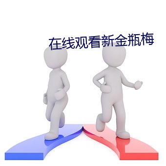 在线观看新金瓶梅