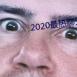 2020最热谈天软件 （毛猪）