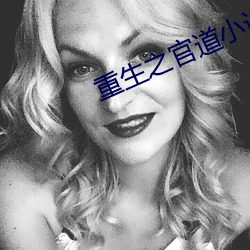 重生之官道小说