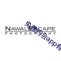 免(免)费约会app有哪些