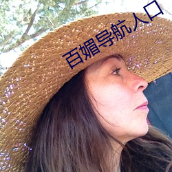 百媚导航人口