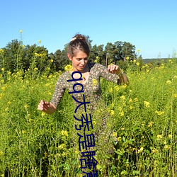 qq大秀是啥意思