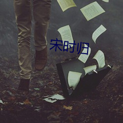 宋(sòng)时归
