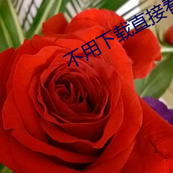 不用(用)下载(載)直接看视(視)频的软(軟)件(件)