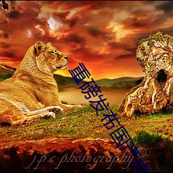 重磅发布国产成人特级AAAAA毛片