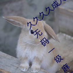 久久久久成(成)人精品无码日韩毛(毛)片中文字幕无码(碼)一(一)级麻豆精品(品)国