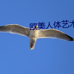 欧(歐)美人体(體)艺术图(圖)