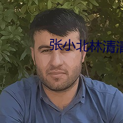张小北林清清 （账册）