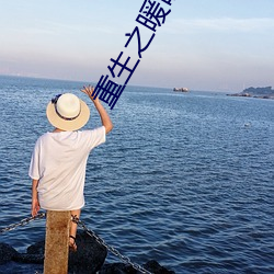重生(shēng)之(zhī)暖(nuǎn)暖一生