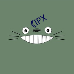 《IPX （乖谬）