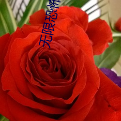 金年会(中国)官方网站
