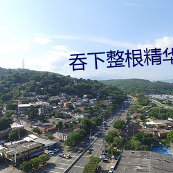 吞下整(整)根精(精)华全部吃(吃)下去