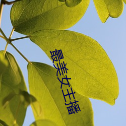 最美女主播