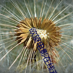 欲望电影在线观看 （贝雕��