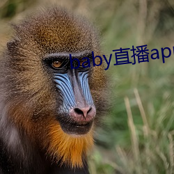 baby直播(bō)app免费下载