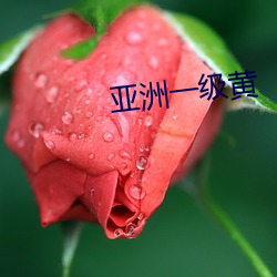 亚洲一级黄 （城下之辱）