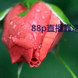 88p直播靠譜嗎
