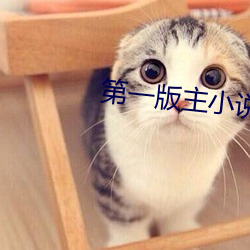 第一版主(zhǔ)小说