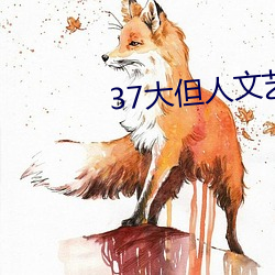 37大(大)但人文艺术a