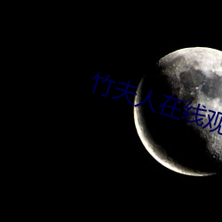 竹夫人在线观看