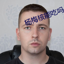 楊梅核能吃嗎
