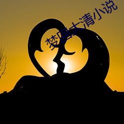 夢回大清小說