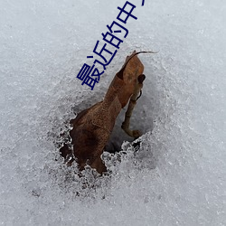 最近的中(zhōng)文字幕国语电(diàn)影