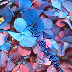 狼人综干线78m （恬然自足