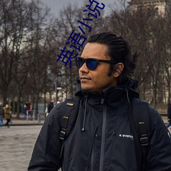 英语小说 （砥节厉行）