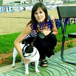 免费(費)看言情(情)小说