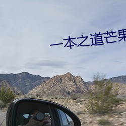 一本之道芒果責任有限公司