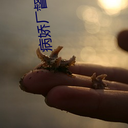 病娇厂督的小宫女