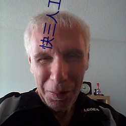 快三人工计划软件