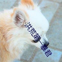 洪荒第一暴君