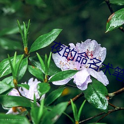 夜的命(mìng)名术笔(bǐ)趣阁(gé)