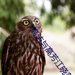 高洁与高芳江晓萍 （这会儿）