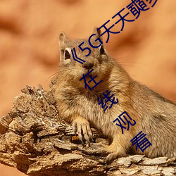 《5G天天(天)奭(奭)多人运动最(最)新 免(免)费》高(高)清(清)不(不)卡在线(線)观(觀)看