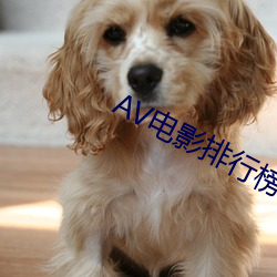 AV影戏(影)排行榜(榜)