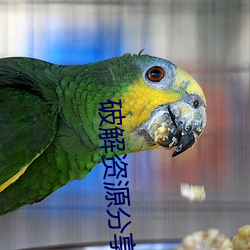 破解资源分享论坛